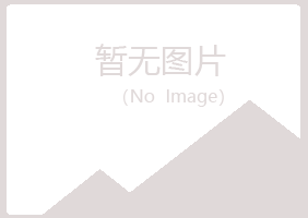 鹤岗南山冰兰化学有限公司